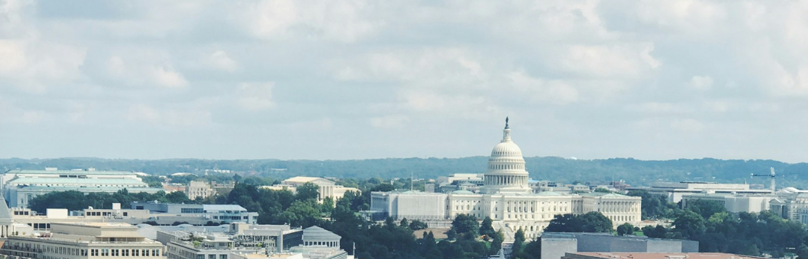 Image of the US Capitol, fairly zoomed out, cloudy